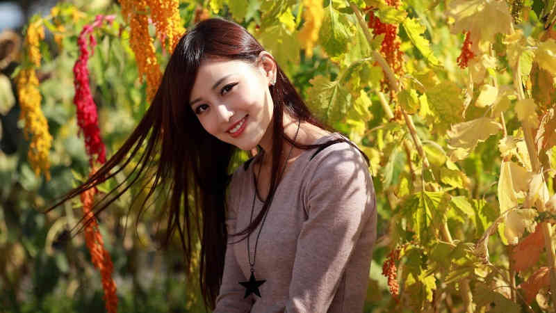 加大多式联运  4月1日起南铁调整货物列车运行图